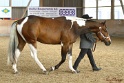 22-APHA HOTC_154